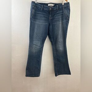 Torrid Women’s Bootcut Jeans 16S